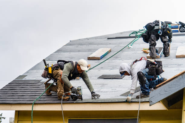 Professional Gutter Installation technician working in Danube, MN
